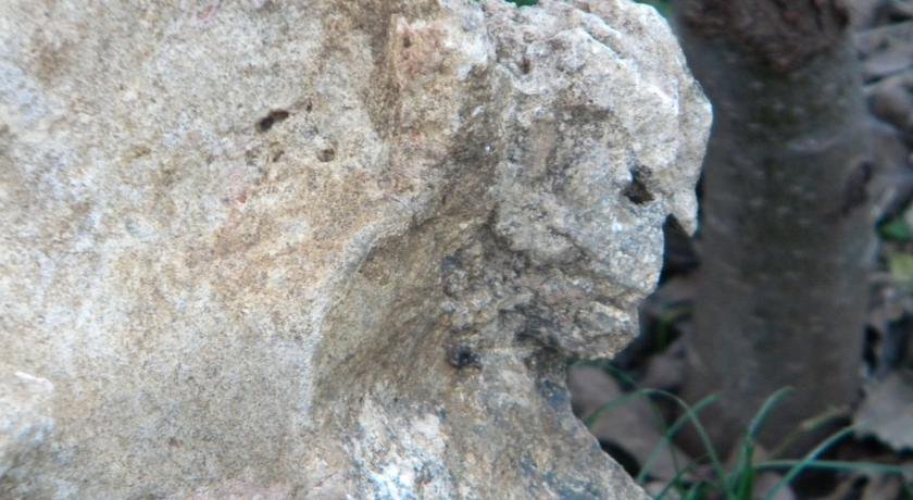 Гостевой дом Усадьба Магнолия Рыбачье