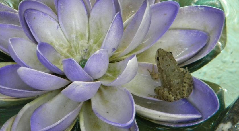 Гостевой дом Усадьба Магнолия Рыбачье