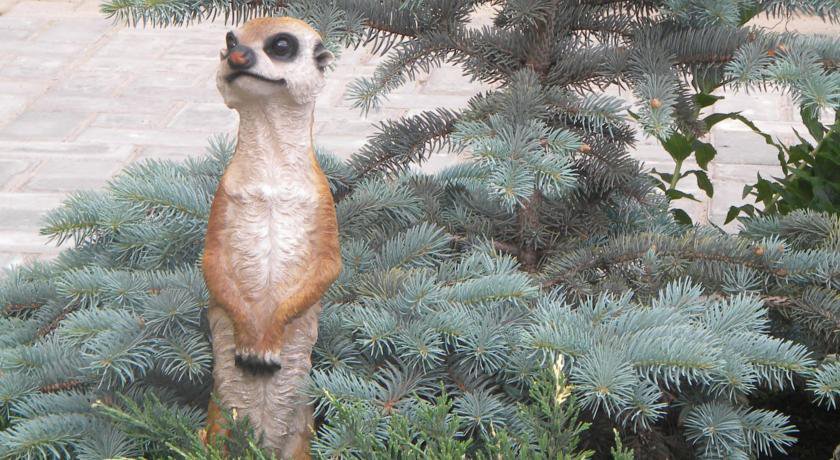 Гостевой дом Усадьба Магнолия Рыбачье