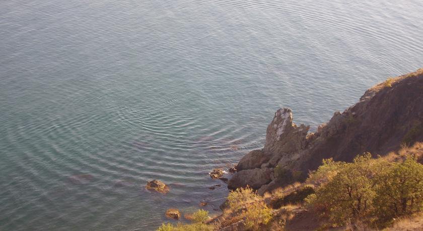 Гостевой дом Усадьба Магнолия Рыбачье