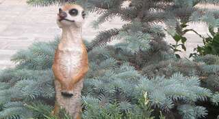 Гостевой дом Усадьба Магнолия Рыбачье Номер "Стандарт"-38