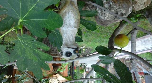 Гостевой дом Усадьба Магнолия Рыбачье-57