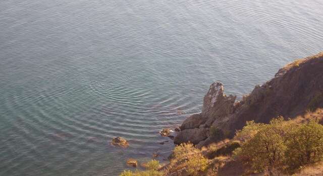 Гостевой дом Усадьба Магнолия Рыбачье-44