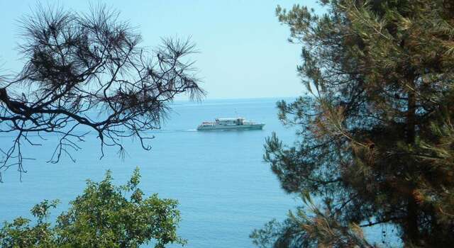 Гостевой дом Усадьба Магнолия Рыбачье-42